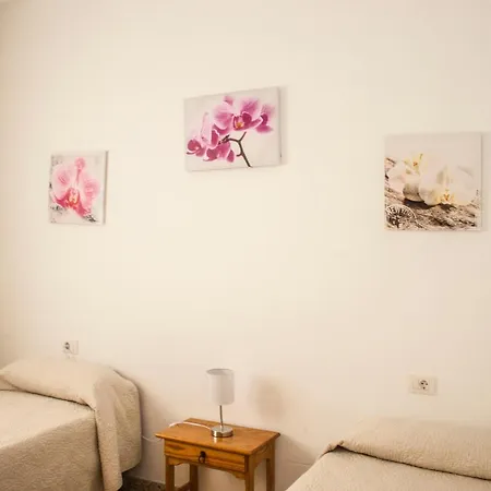 Rose Lejlighed Icod De Los Vinos